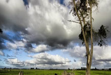开云平台-蒙特雷进攻端火力全开，状态持续爆发
