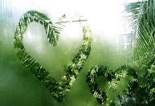 开云官网-阿尔艾因阵中多名球员状态回暖，备战充满信心