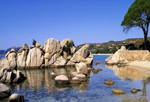 开云官网-队伍表现出色，球员士气高涨——我们的团队在赛场上闪耀光辉