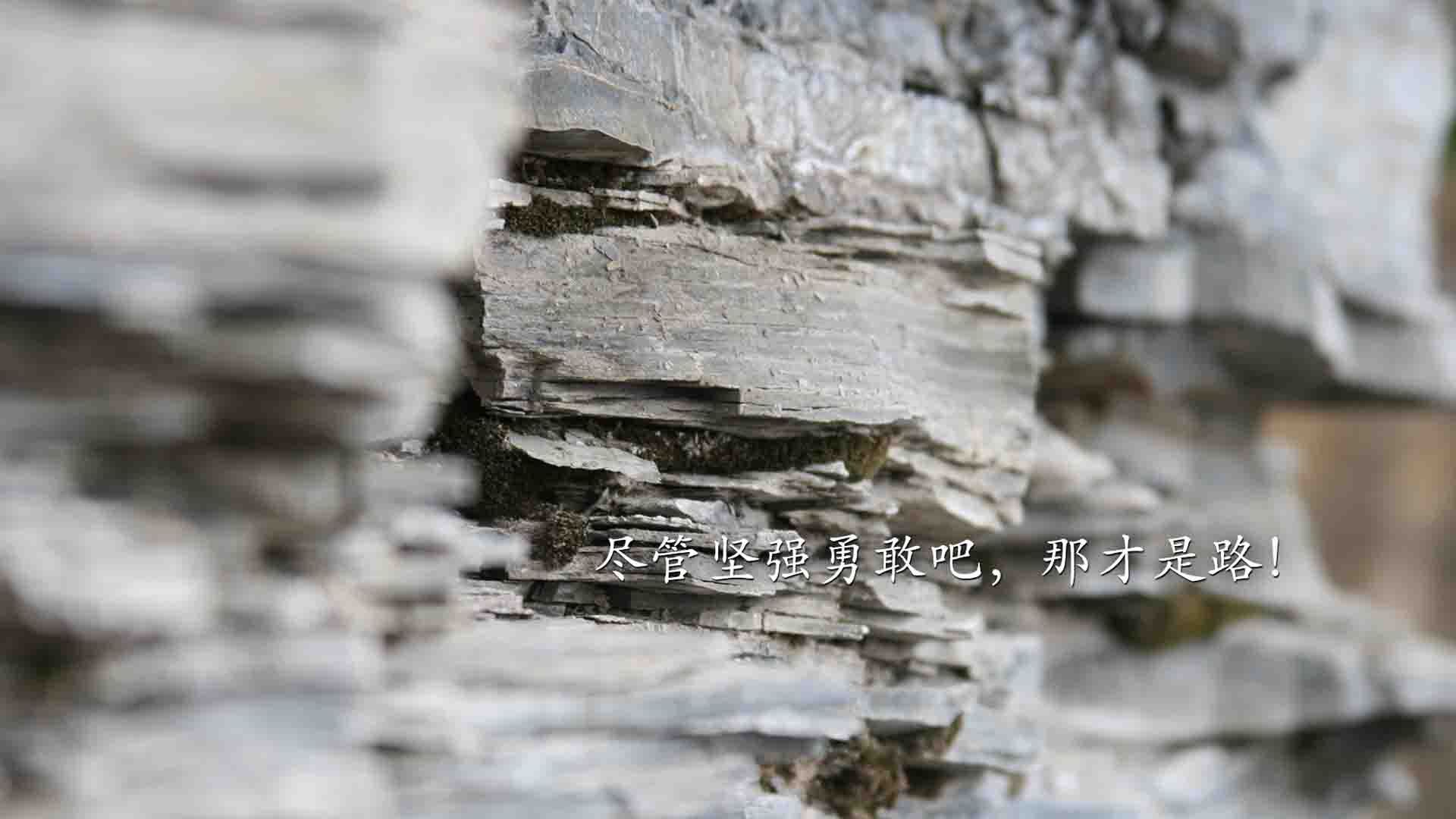 开云体育中国-北极风暴席卷伊比利亚，挪威式全面压制如何终结皇家社会的西决之梦