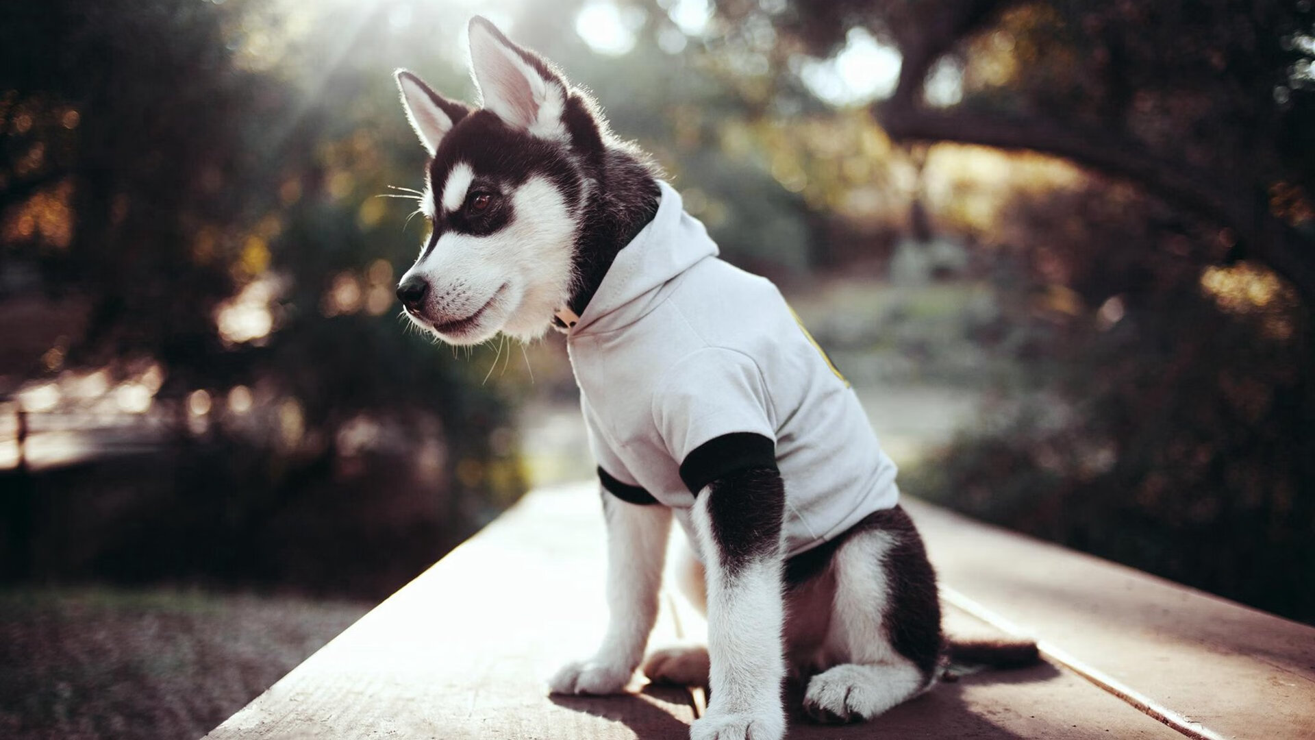 阿什拉夫神兵天降，利物浦闪电战击溃沙特