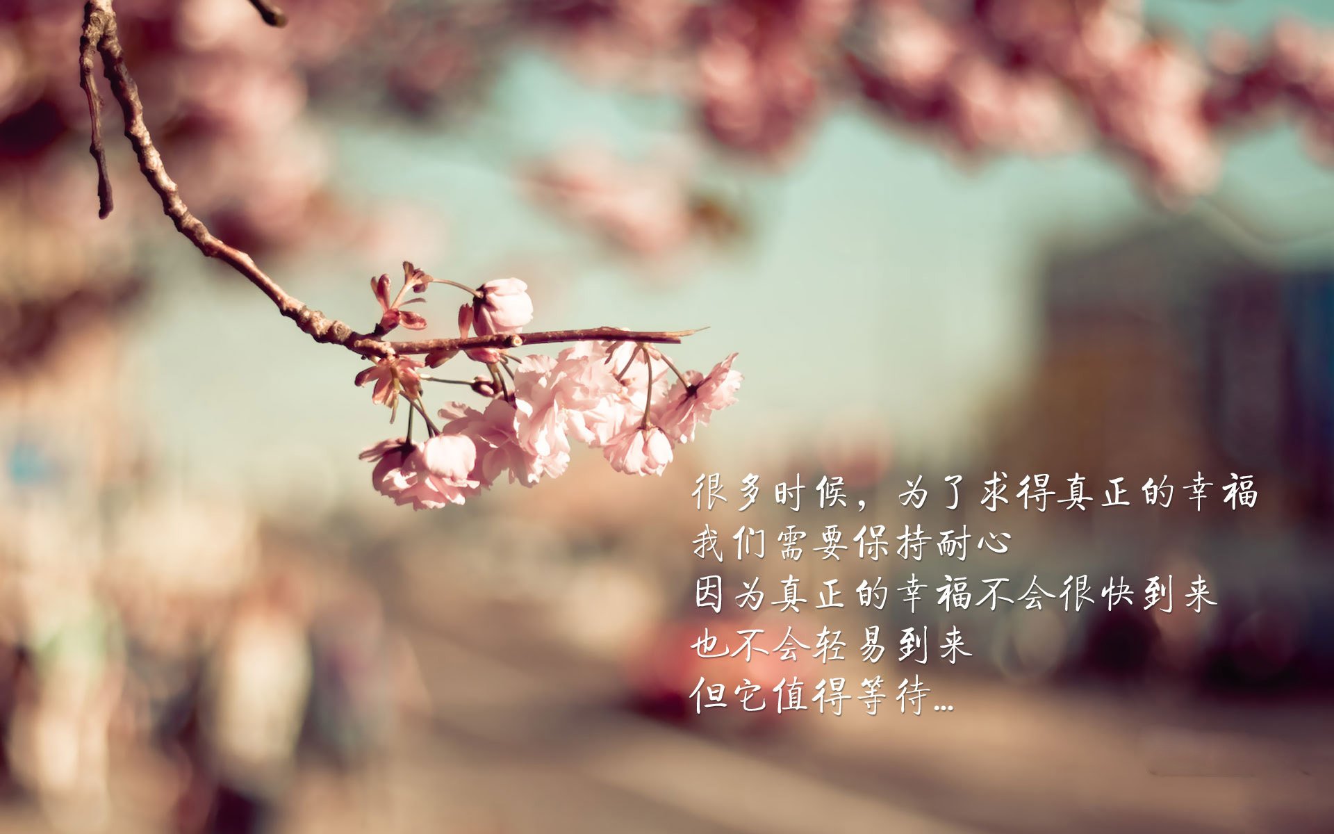 东决关键战焦点战,尤文图斯横扫曼联的体育启示录