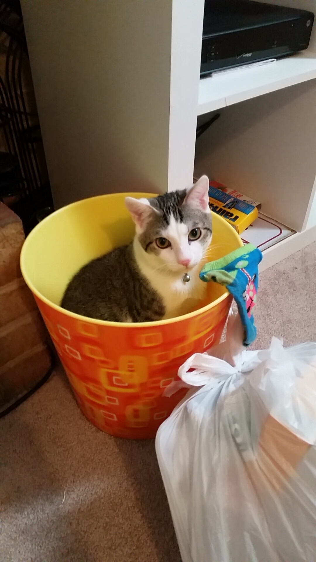 开云体育官网-双线战场，卢卡库的重炮与德国队的决胜一键