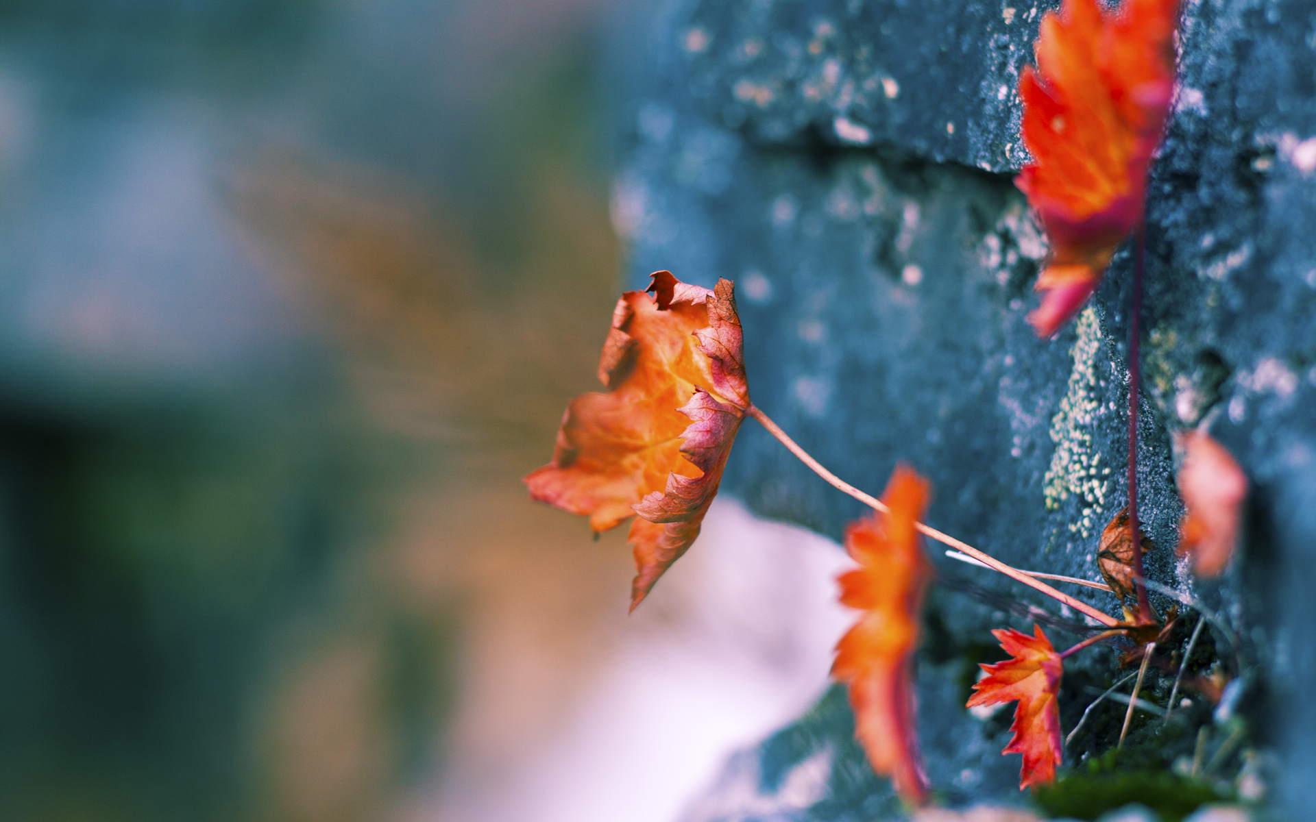 开云体育APP下载-冰封南美风暴，欧冠决赛的冰岛式封锁战术