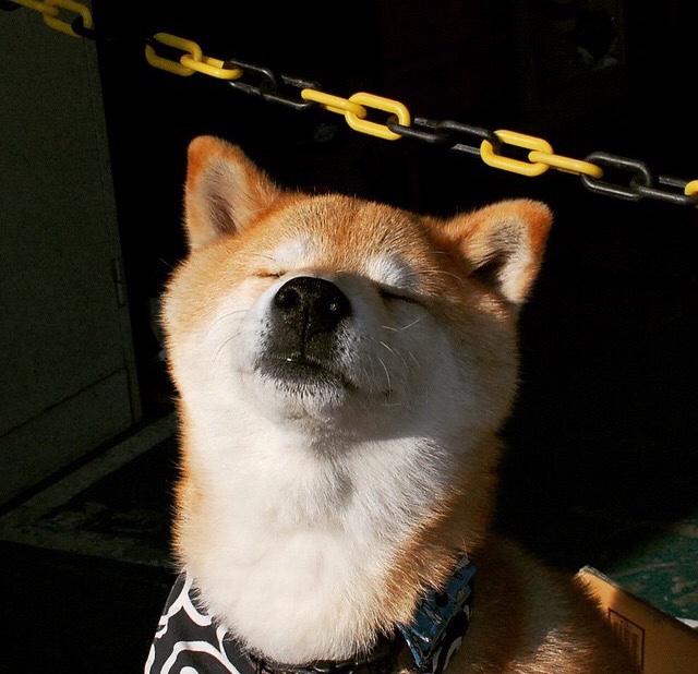 沉默巨塔，美加墨之夜，当阿坎吉让世界锋线陷入集体失语