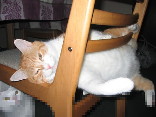 开云平台-库里50分神迹成空砍，尼克斯加时险胜奇才