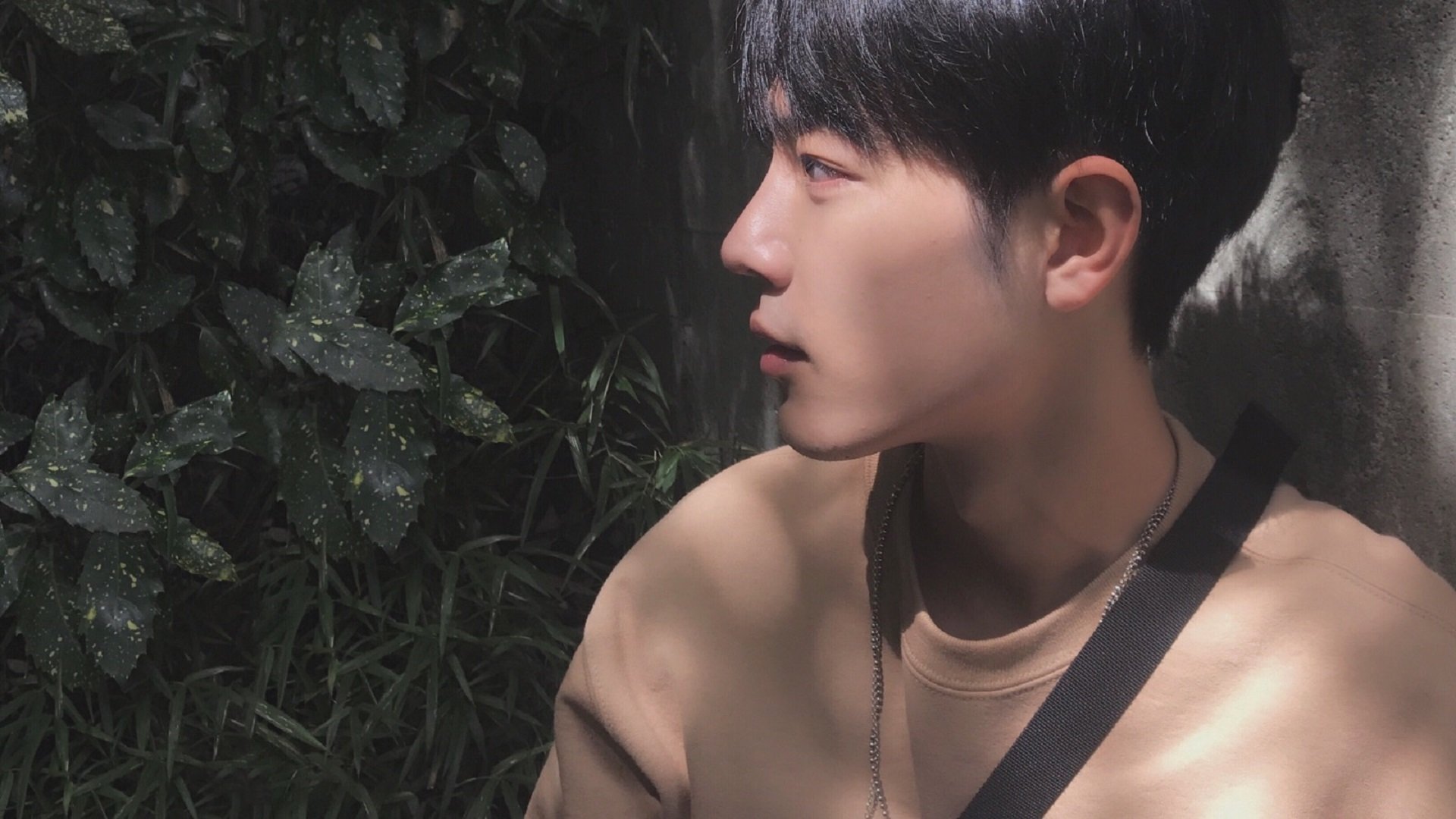 当欧冠遇到CBA,足球与篮球之夜的奇妙碰撞