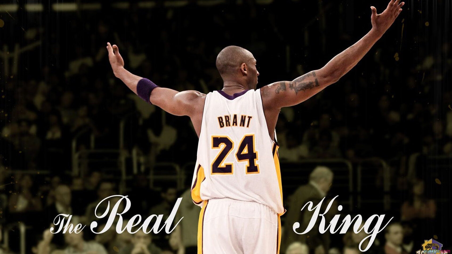 开云平台-紫百合绽放，铁闸与利刃的合体，弗拉霍维奇如何定义现代中锋的统治力