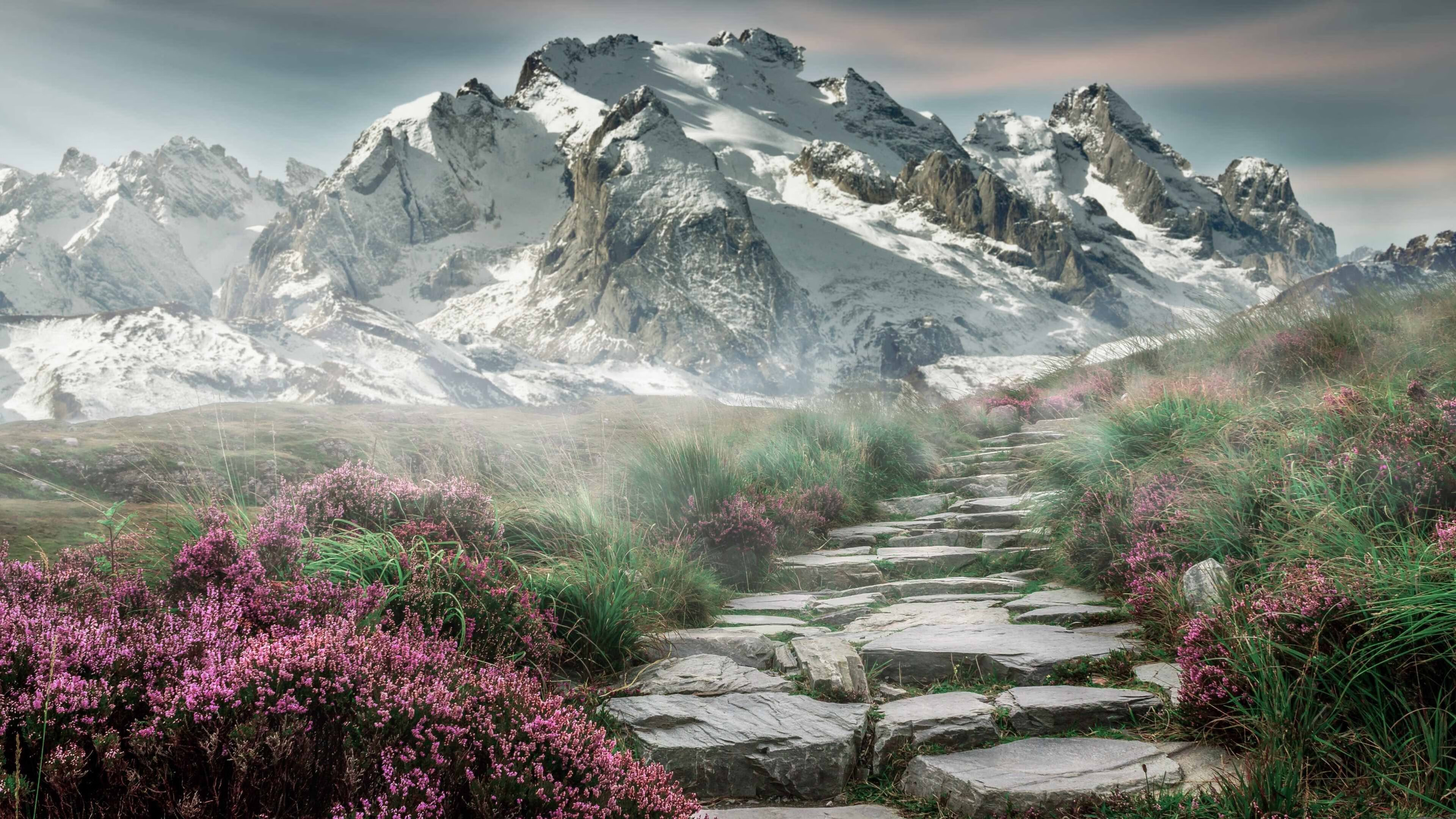 开云体育下载-冰与火的对决，罗德里戈一锤定音，丹麦在排名大战中力压喀麦隆