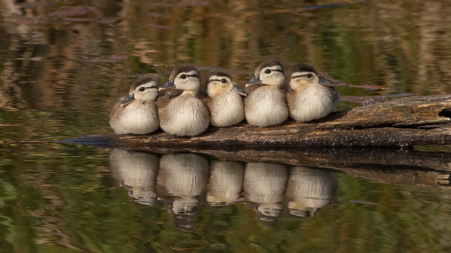 冷门与神迹，篮球场上，没有一种胜利可以事先写好剧本