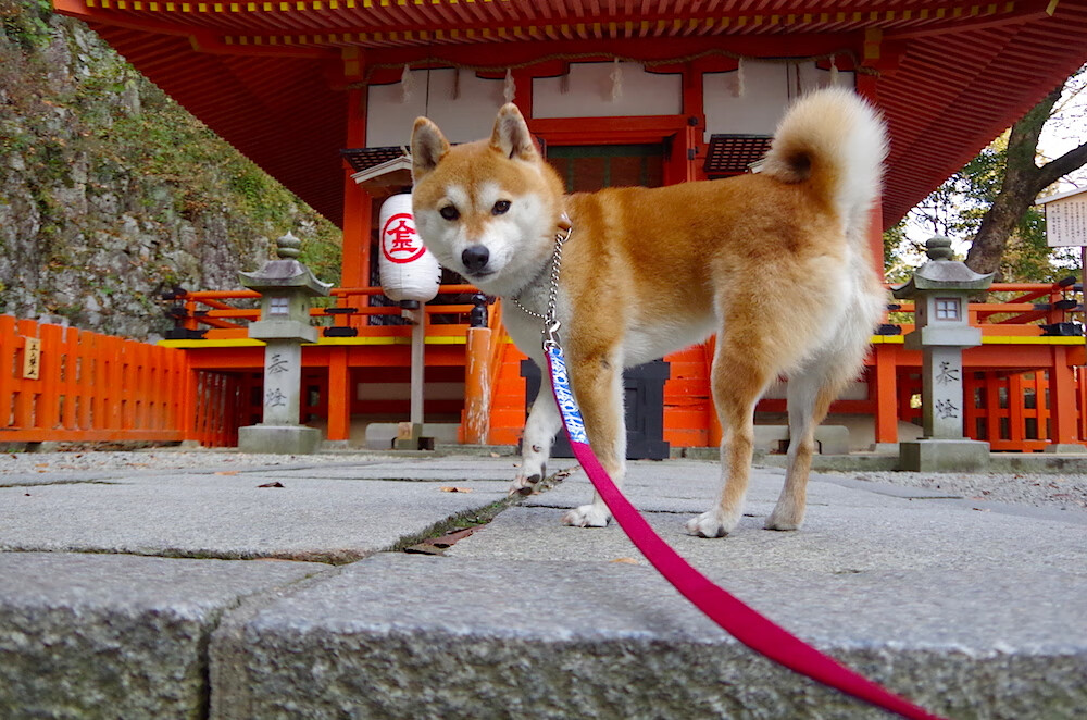开云体育官方网站-临危一剑光寒彻，克莱的绝境重构与胜利的哲学新解