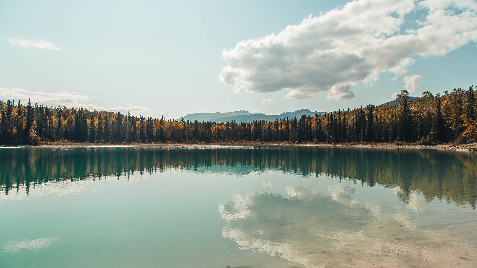 冰与火之歌，加拿大新星冰封南大王，萨卡烈焰焚天主宰北伦敦生死战