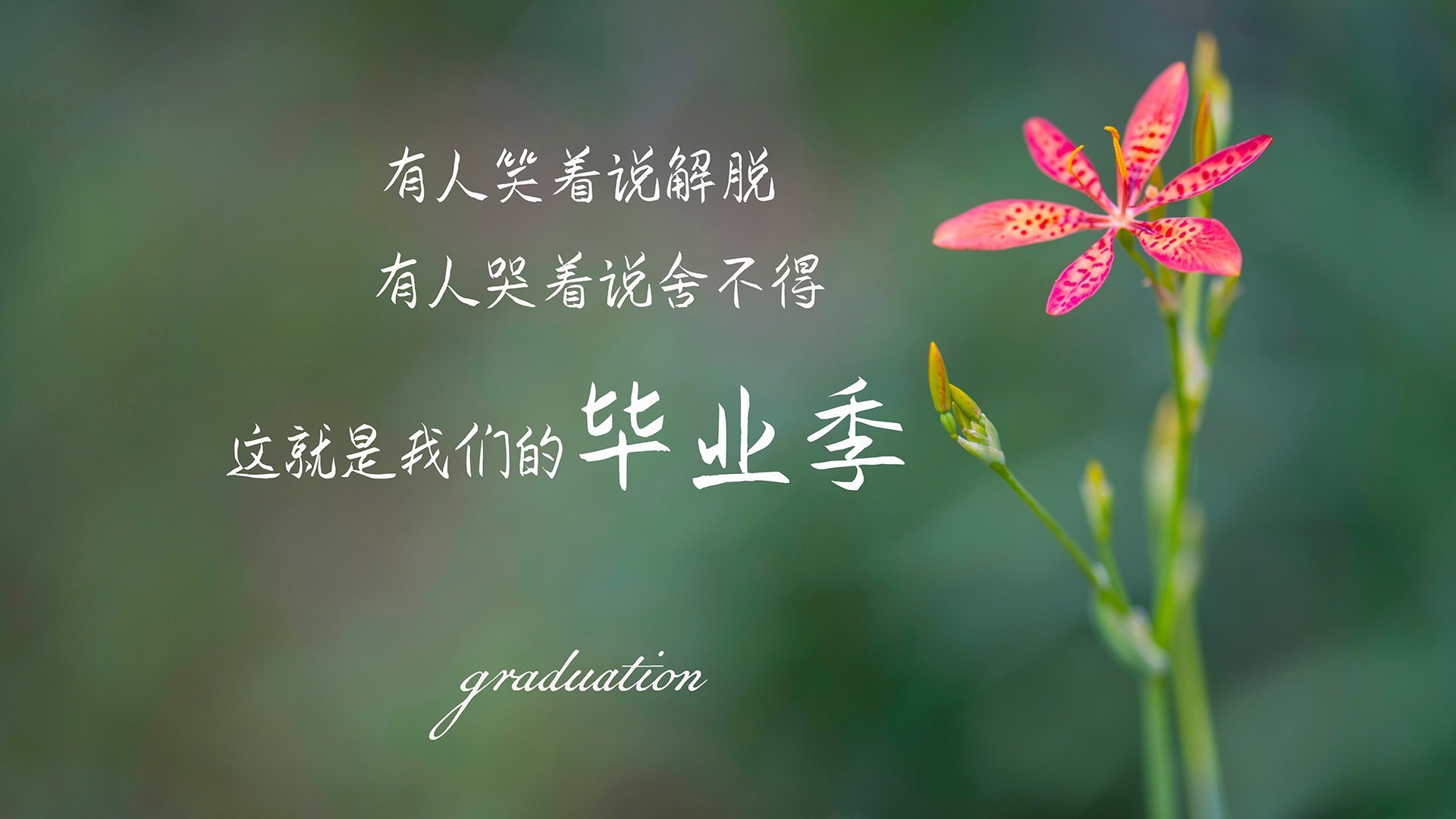 旧日的荣光与失落的欧冠，当国家德比遇见蓝黑军团