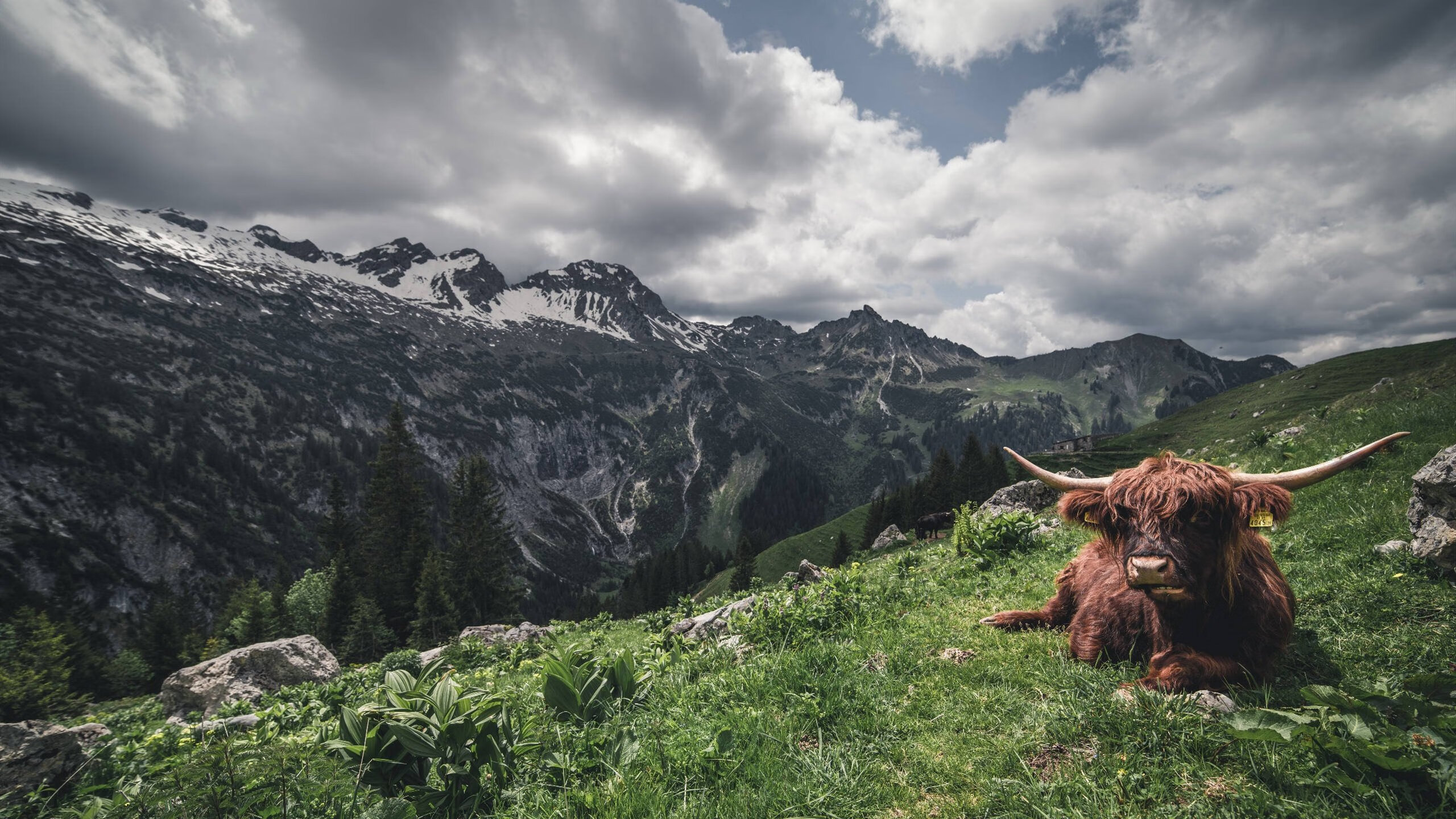 中场艺术家，萨卡如何以一己之力改写马里对阵安哥拉之战