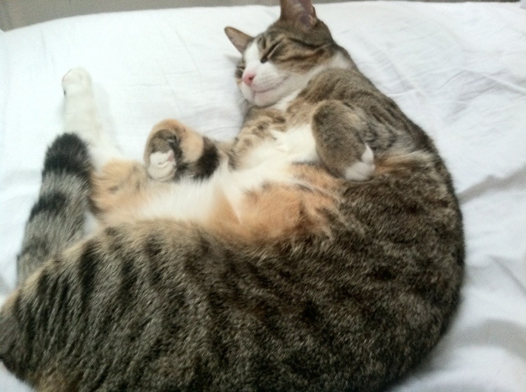 星爆时刻,当萨内用波兰的爆冷寒夜,点燃2026的德意志天穹