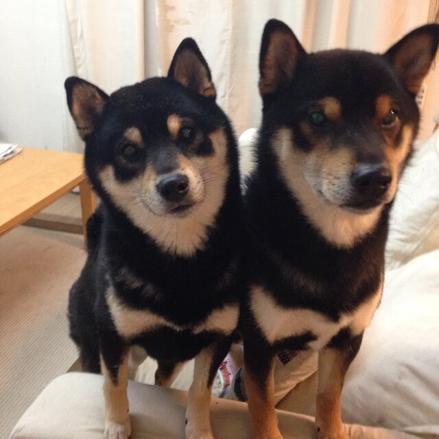 1.83亿锋霸降临!卢卡库统治级数据让安菲尔德沦陷