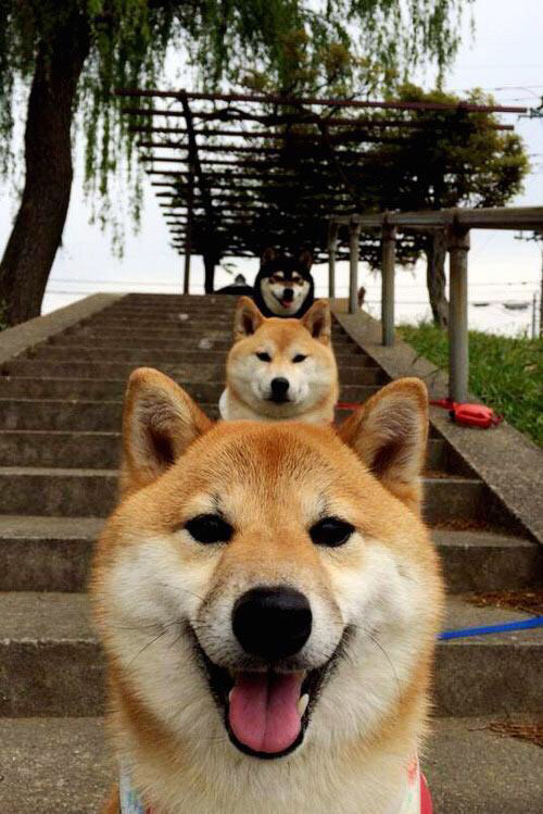 硬仗取胜与世界杯主宰，黄蜂力克篮网，米切尔2026闪耀